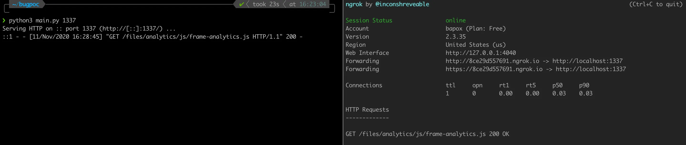 python server + ngrok "ngrok & python server"